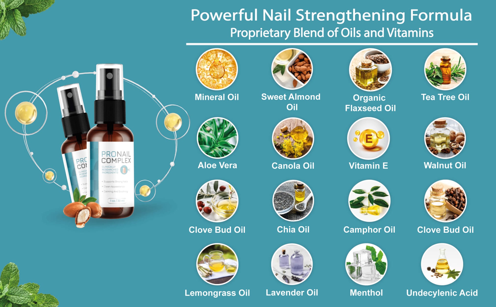 ProNail Complex Ingredietns